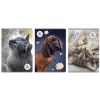 Zeszyt A4/60K kratka The Sweet Pets (5szt)