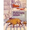 Zwierzęta miast, czyli 22 portrety naszych..