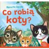 Co robią koty?