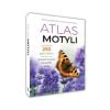Atlas motyli