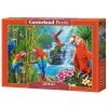 Puzzle 2000 Parrot Meeting CASTOR