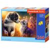Puzzle 260 New Friendship CASTOR