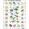 Układanka Fascynujące Dinozaury PL