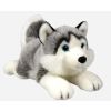 Husky leżący 34cm