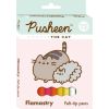 Flamastry 12 kolorów Pusheen