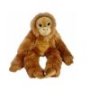 Orangutan big eyes 50cm