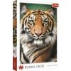 Puzzle 1500 Portret tygrysa TREFL