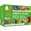 Memory Owady i pająki Polski