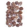 Mini szyszki bielone 25g