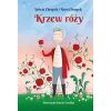 Krzew róży