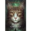 Wojownicy T.10 Blask gwiazd