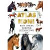 Atlas koni