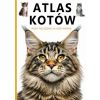 Atlas kotów