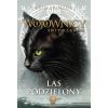 Wojownicy. Las podzielony