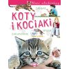 Nasi ulubieńcy. Koty i kociaki