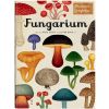 W Muzeum. Fungarium. Muzeum Grzybów