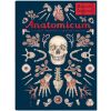 W Muzeum. Anatomicum. Muzeum Anatomii