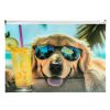 Koperta A4 PP z nadrukiem zip Chillout Dog
