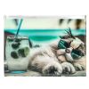 Koperta A4 PP z nadrukiem zip Chillout Cat