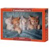 Puzzle 1000 The Sweetest Kittens CASTOR