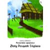 Pomorskie opowiesci 1. Złoty posążek Triglava