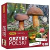 Memory Grzyby Polski