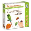 Montessori. Zwierzęta tu i tam. Karty sensoryczne