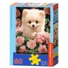 Puzzle 60 Pomeranian Puppy in Roses CASTOR