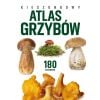 Kieszonkowy atlas grzybów