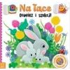 Otwórz i czytaj. Na łące