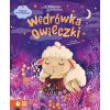 Bajanie na zasypianie. Wędrówka owieczki