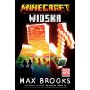 Minecraft. Wioska