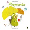 Poczwarka