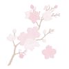 Zestaw wykrojników - Gałazka i kwiat magnolii 2szt