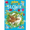 Klasyka baśni. Słowik