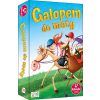 Galopem do mety