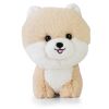 Maskotka Teddy Pets Pomeranian
