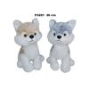 Pies husky 30cm MIX