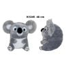 Koala kula 40cm