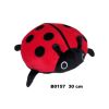 Biedronka 30cm