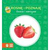 Rosnę i poznaję. Owoce i warzywa