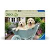 Puzzle XL 200 Golden Retriever