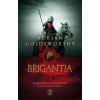 Vindolanda T.3 Brigantia