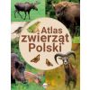 Atlas zwierząt Polski
