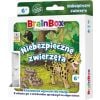 BrainBox: Pocket - Niebezpieczne zwierzęta REBEL