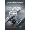 Odwaga kapitana Pluma