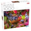 Puzzle 1000 Robin w jesiennych liściach
