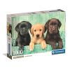 Puzzle 1000 Three Labs