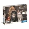 Puzzle 1000 Lovely Kittens
