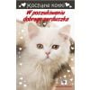 Kochane kotki. W poszukiwaniu dobrego serduszka